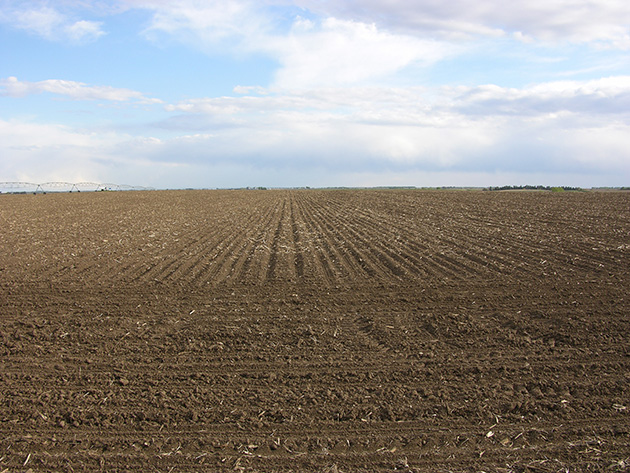 A large field looms in front of a blue sky.